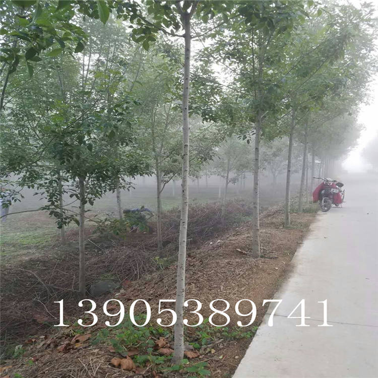 mmexport1475638038054