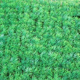 Realistic plastic artificial lawn, aquarium, aquatic plants, direct factory sales, 60×40cm