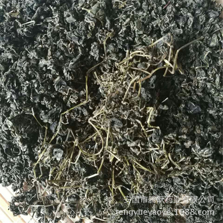 Jiaogulan Granules Gynostemma Loose Bulk Herbal Tea 500g quality and texture