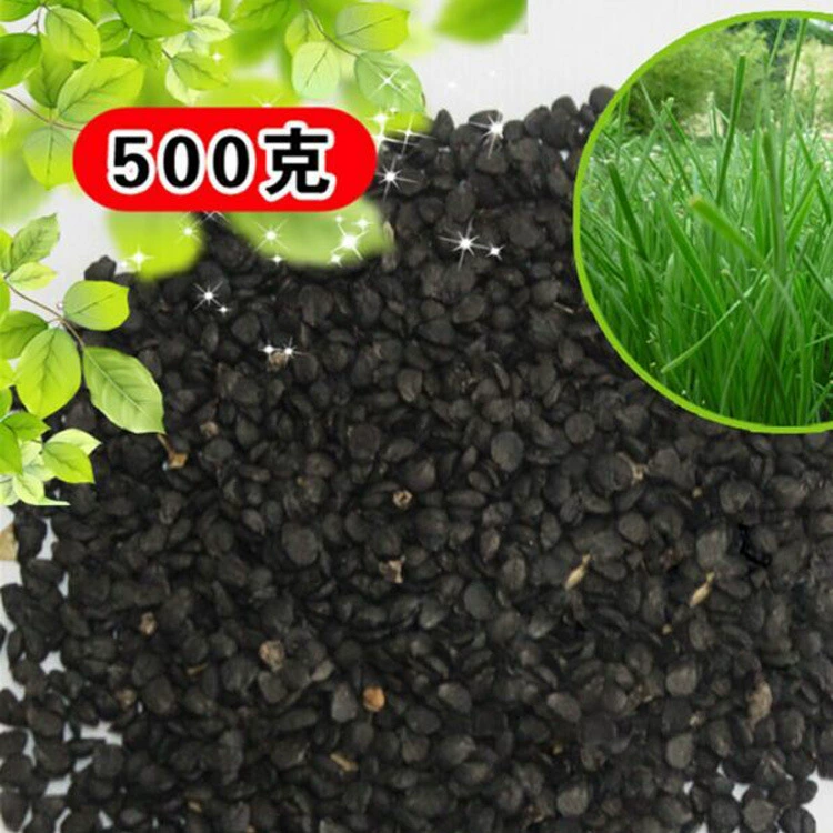 Производитель оптом продает семена лука-порея для домашнего двора, семена фиолетовых корнеплодов, овощи в горшках для балкона, весеннее посевное семя, легко выращиваемые фрукты и овощи