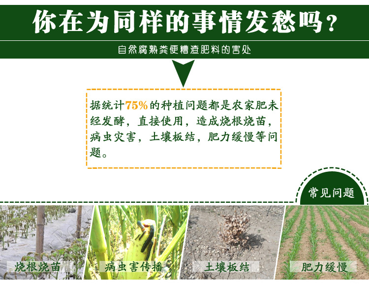 有机肥专用发酵剂