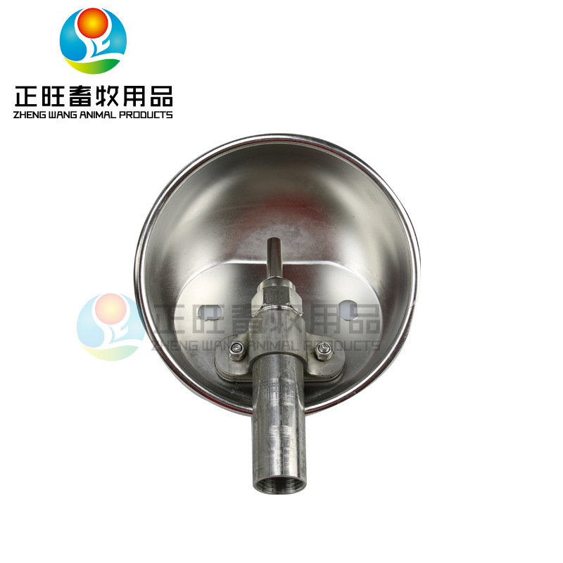 Tazón de agua para cerdos Tazón de agua automático de acero inoxidable para cerdos Tazón de agua para cerdos