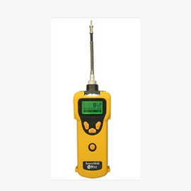 美国华瑞SearchRAE 有毒气体检测仪PGM-1600可燃气有毒气体检测仪
