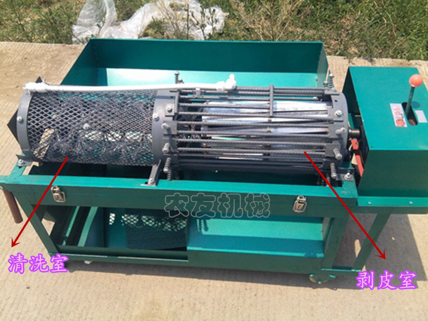 核桃专业去皮机直销 青核桃清洗去皮机 鲜核桃加工专用