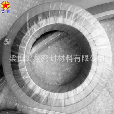 DN500D2222 Metal spiral wound gasket 304 Outer Strengthen Seals