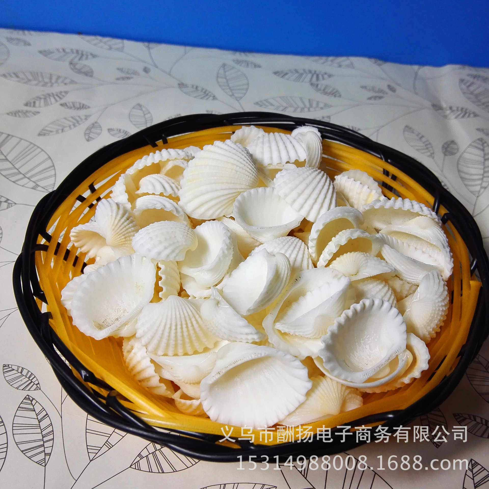 white Small shells Conch Tony Snow natural M Lo DIY Marine bottle Material Science Small starfish Scenery Landscaping Press