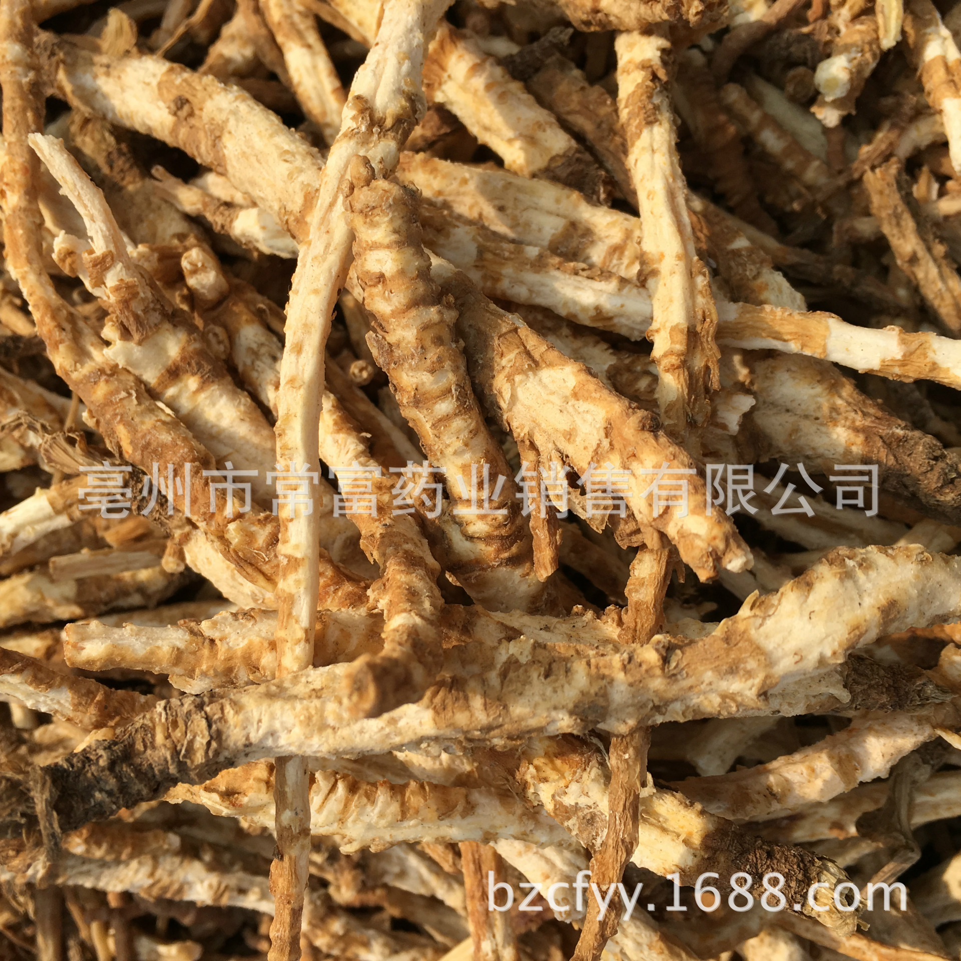 Dried North Glehnia Root Bei Sha Shen Whole Roots 500g for Culinary Herbal Soups and Decoctions key features