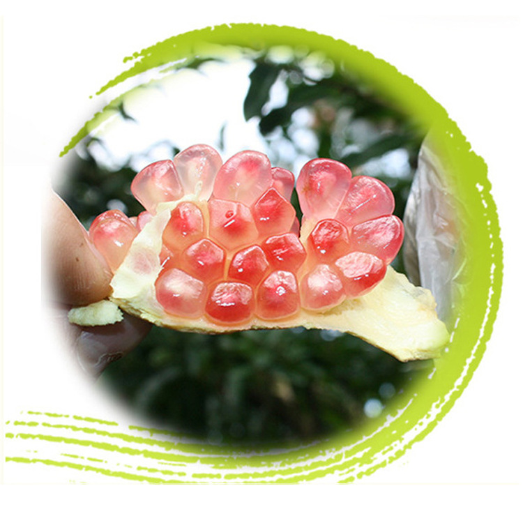 雲南特産蒙自紅石榴特級3000g皮薄軟籽粒多甜新鮮石榴 包郵招代理