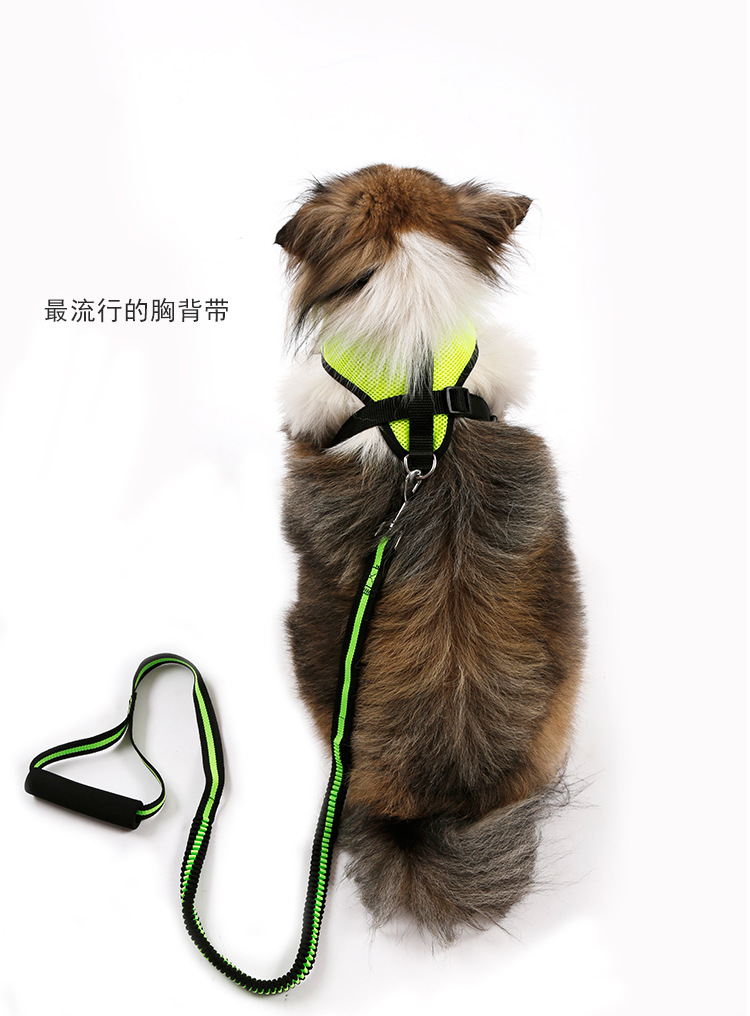 弹力伸缩牵引绳_12