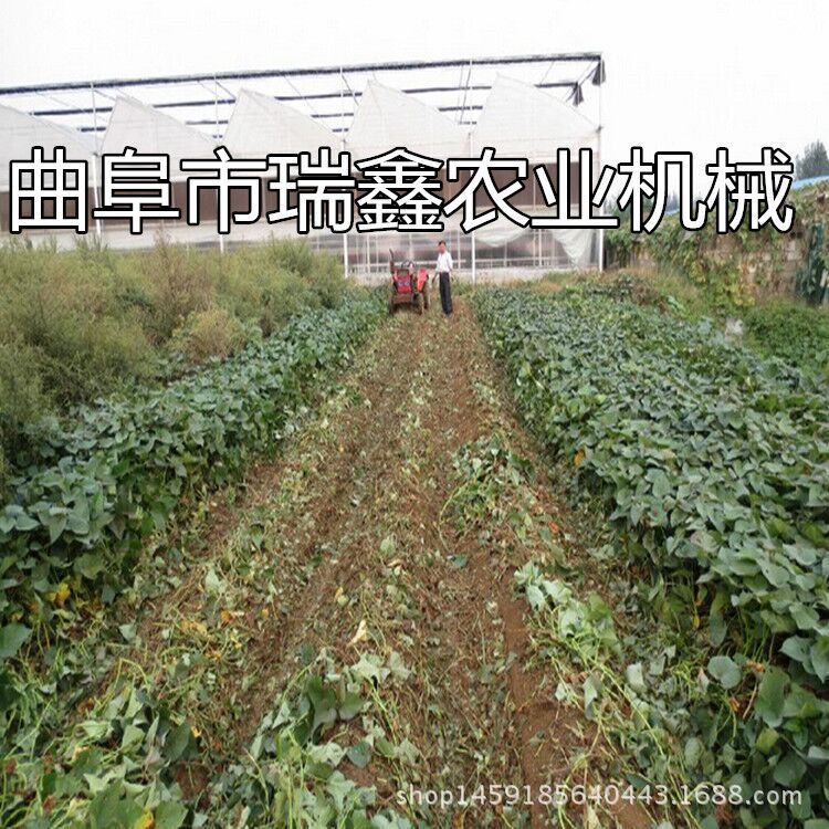 手扶车带动的收获机 收获机厂家 新款二合一型马铃薯收获机