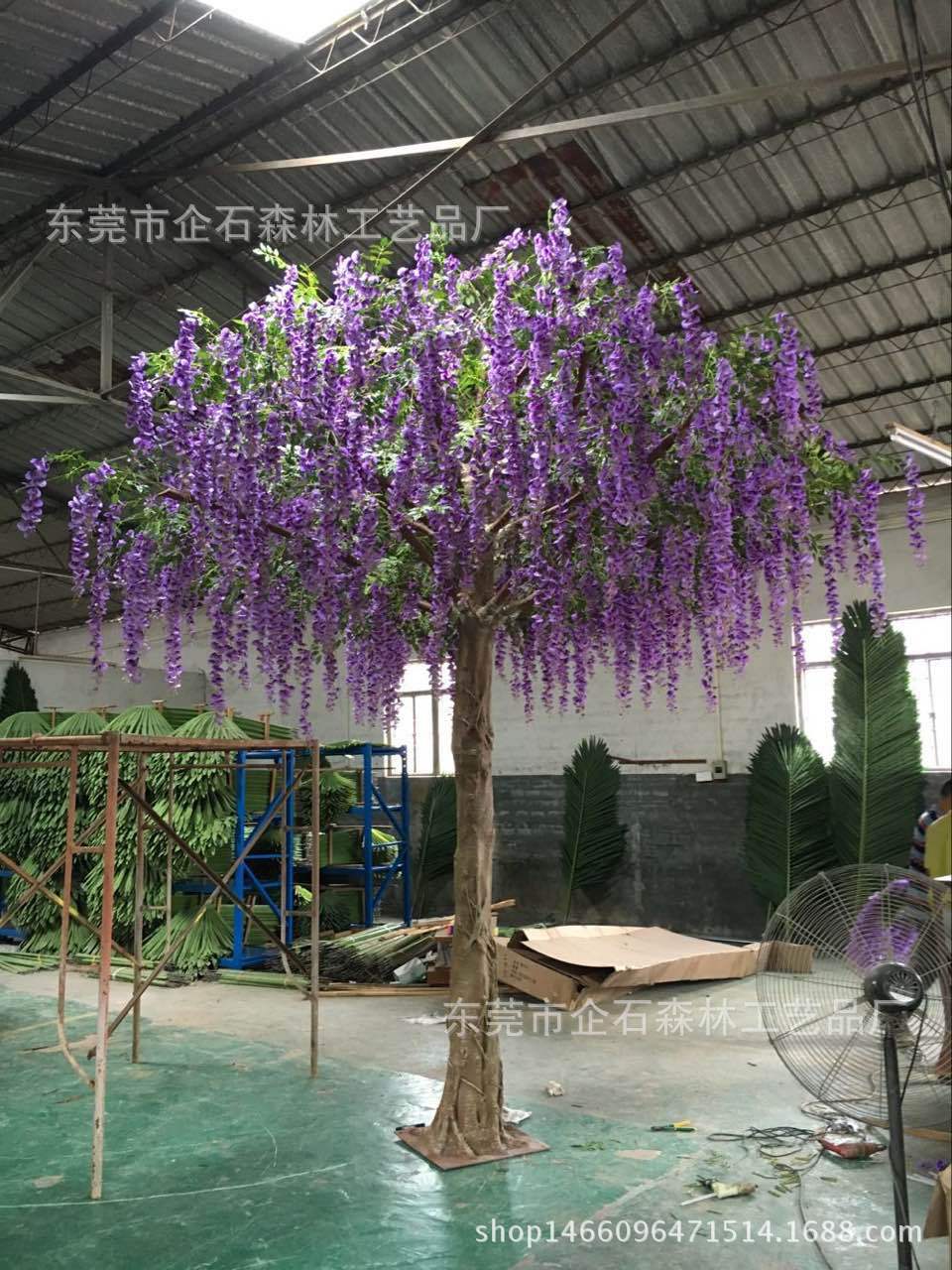 豆花树02