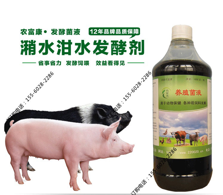 潲水发酵菌液