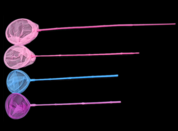 2810492634_2108083825