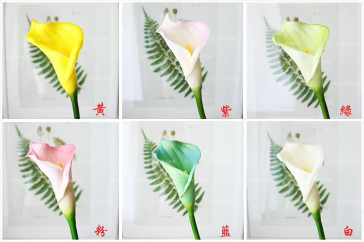 TB2y8h1qFXXXXchXpXXXXXXXXXX_!!