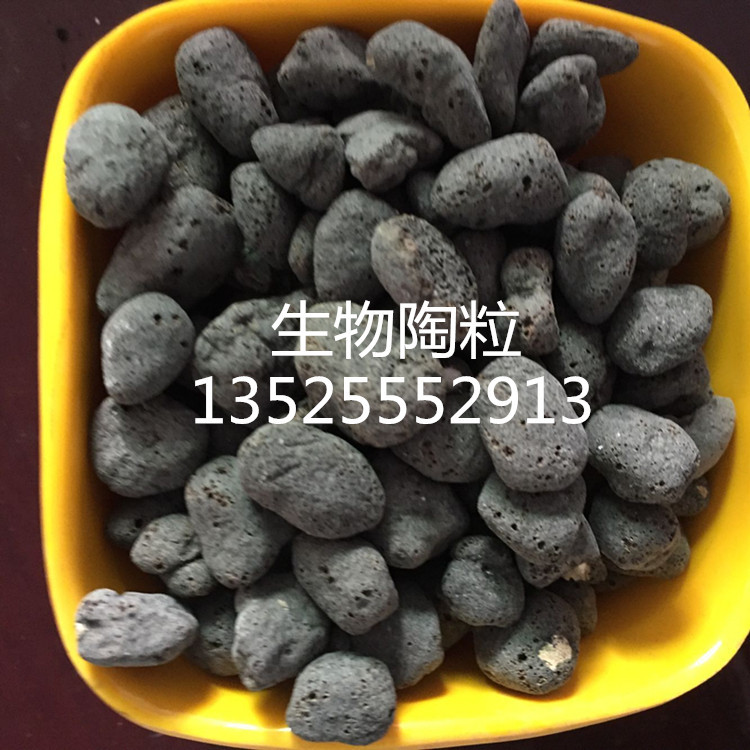 生物陶粒濾料3