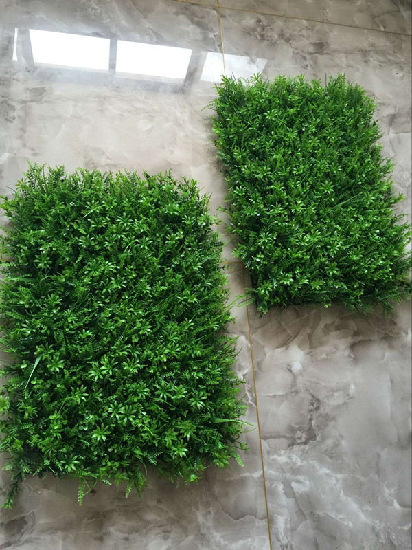 QQ图片20160707150400_副本