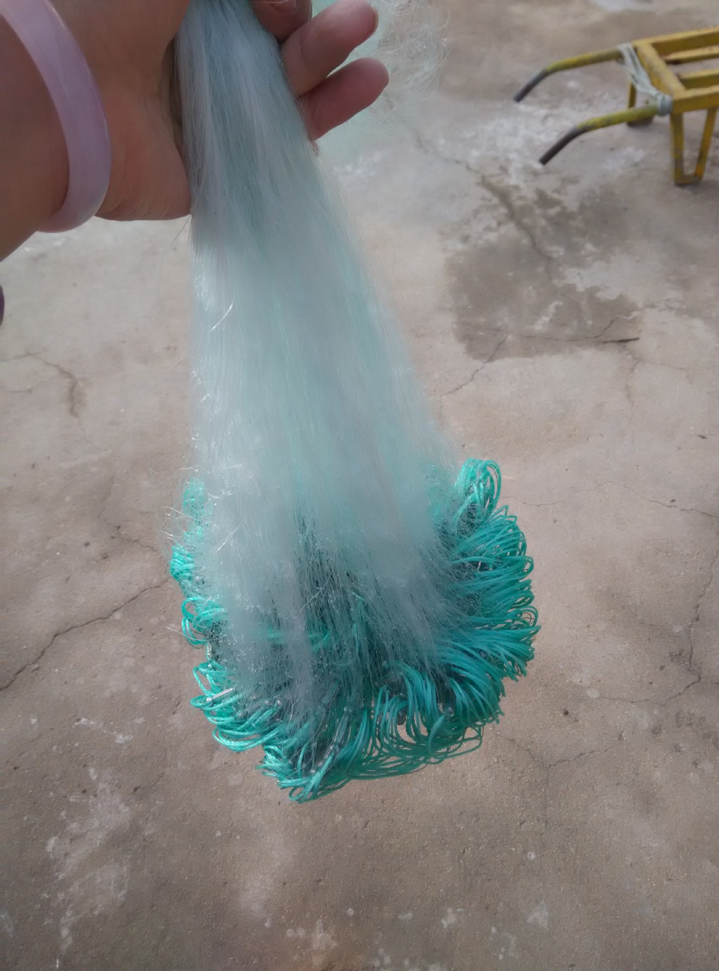 wangIMG_20161023_150537