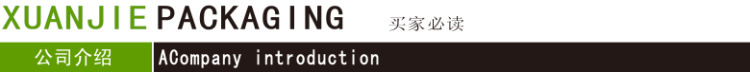 公司介绍 模板