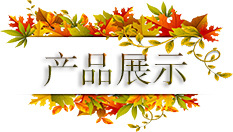 产品展示