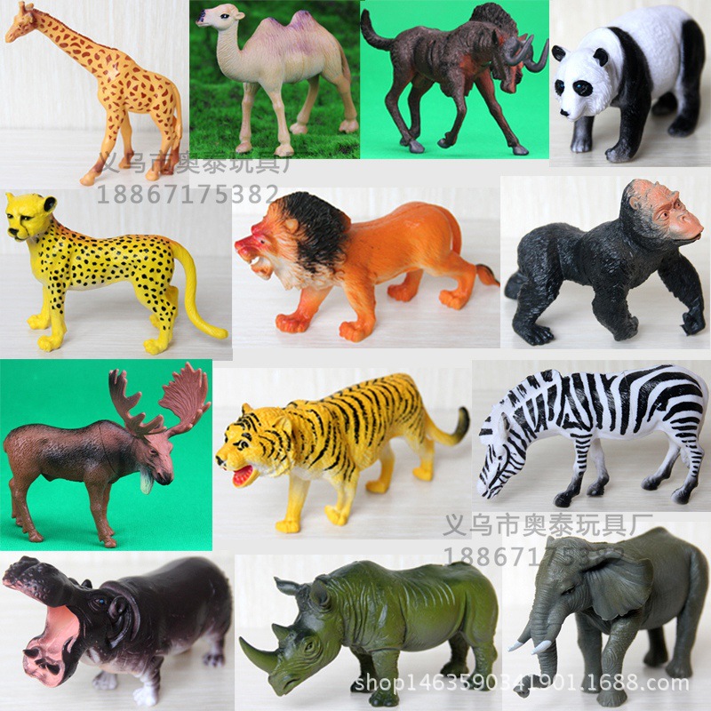 animal model