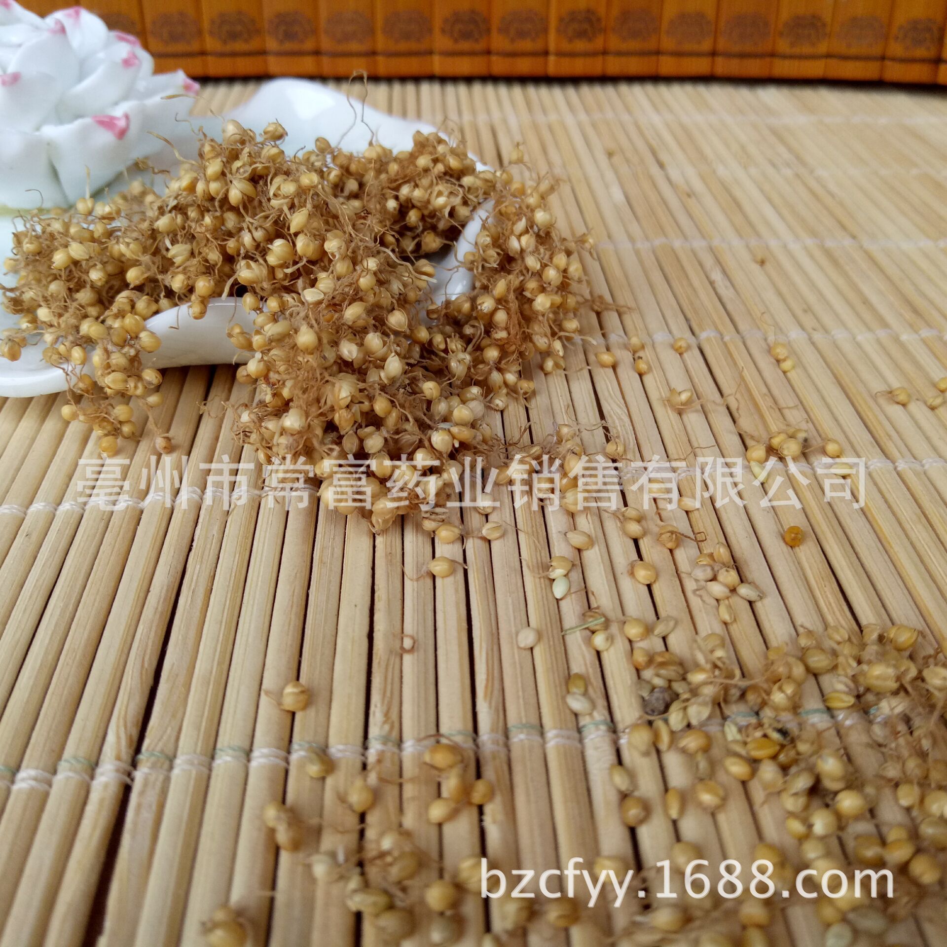 Dried Setaria Sprouted Grain Gu Ya 谷芽 Sprouted Millet Grain TCM Herbal Ingredient 500g quality and texture