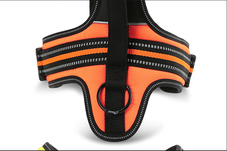 Pet Harness Image 4