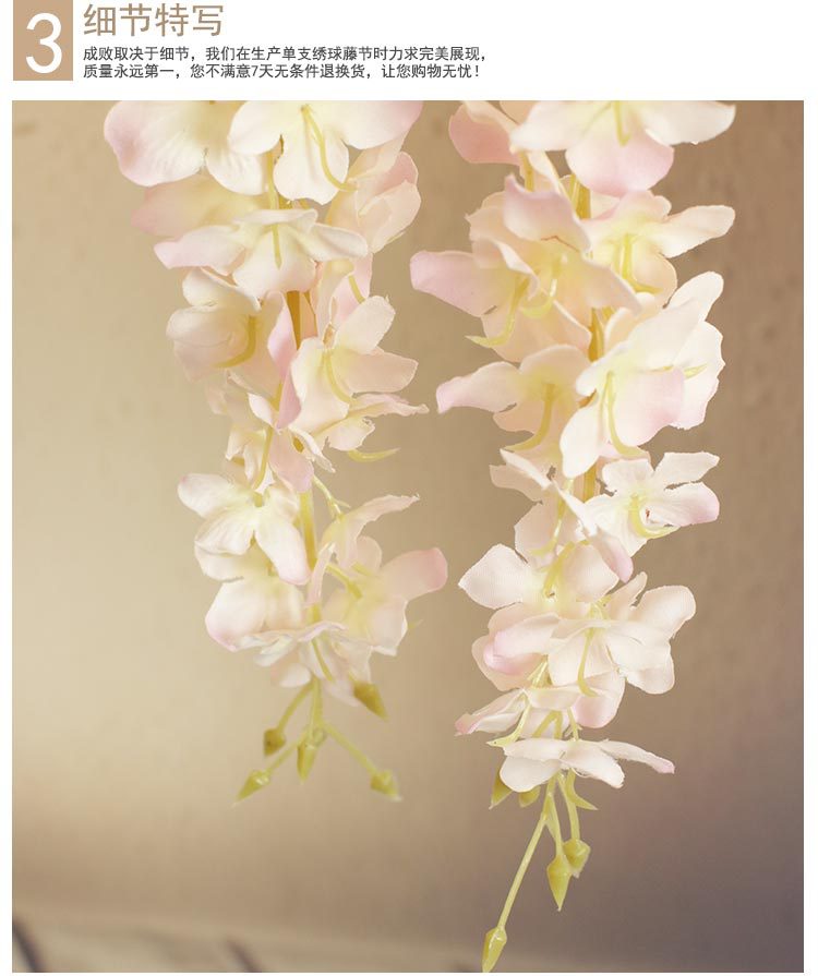 绣球豆花（单节）_23