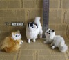 Realistic children's animal model for friend, cat, Birthday gift