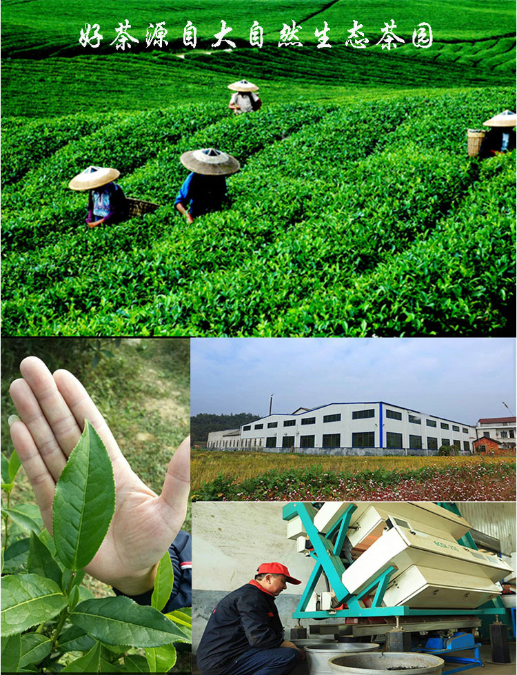 红茯详情_16
