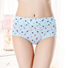 Breathable cotton underwear, cloth, wholesale