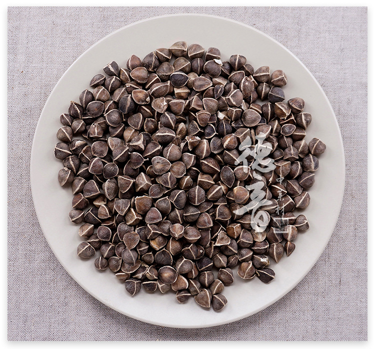 Moringa Seeds La Mu Zi Large Dark Whole Seeds Traditional Herbal Snack Sealed Bag quality and texture