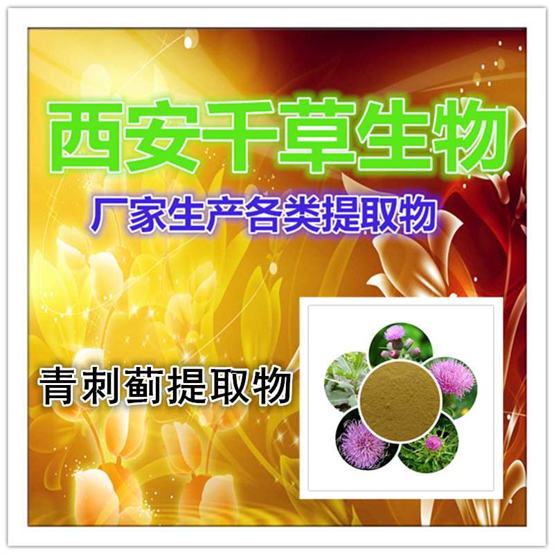 青刺蓟提取物
