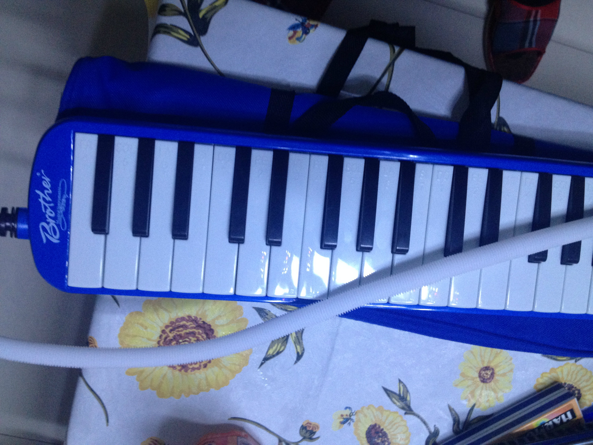 1452863027_328046419