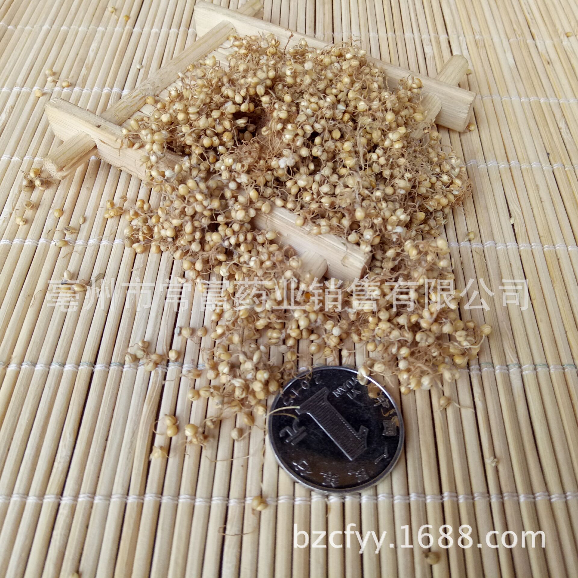 Dried Setaria Sprouted Grain Gu Ya 谷芽 Sprouted Millet Grain TCM Herbal Ingredient 500g specifications
