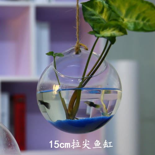 Hanging glass vases, wall-mounted vases, succulent vases, transparent round hydroponic hanging bottles, wedding supplies