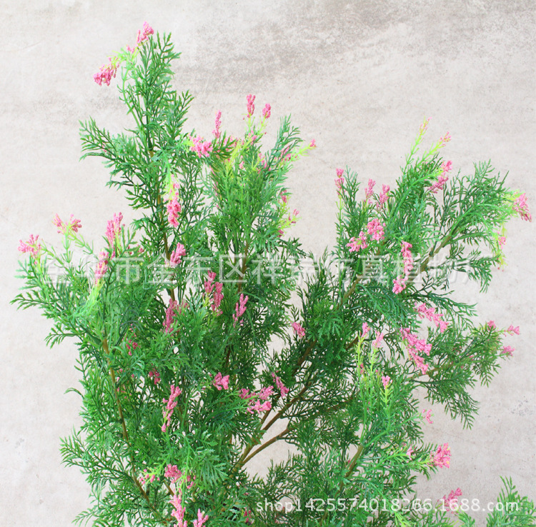 XRB-147 柏树96叶70CM 2