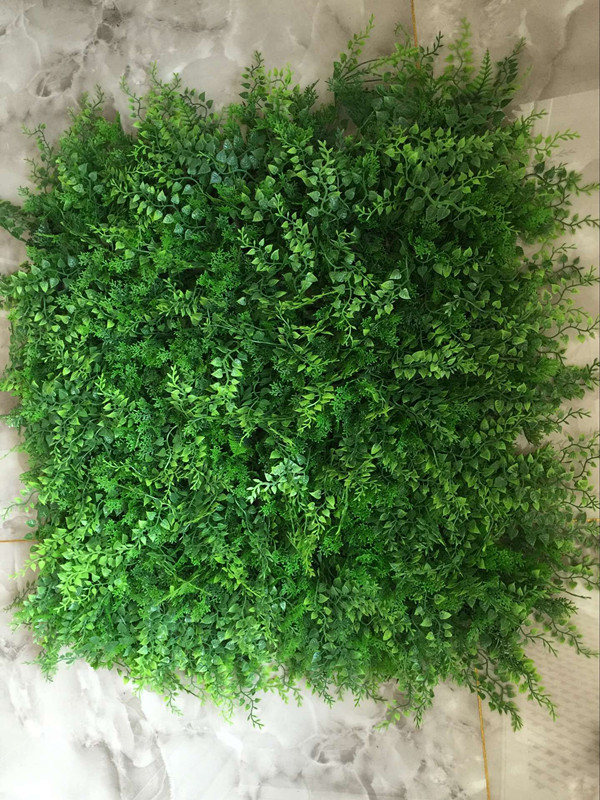 QQ图片20160707150242_副本