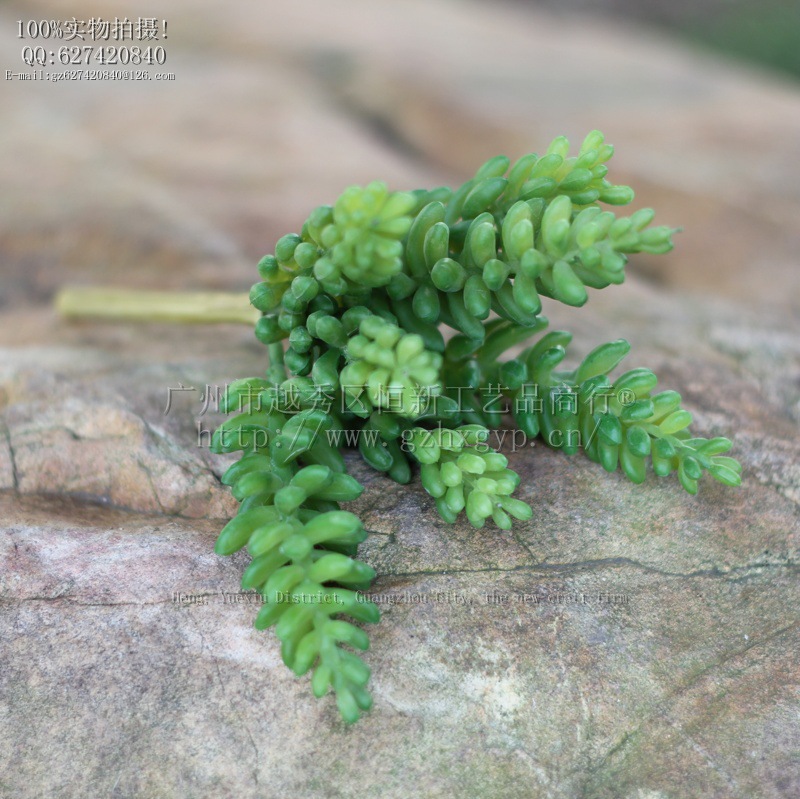 564ef94613e4fc4982c07cc6af322d