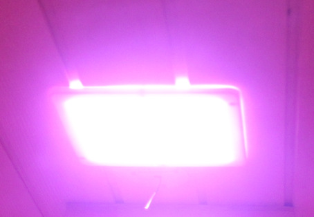 QQ截圖20160406140527