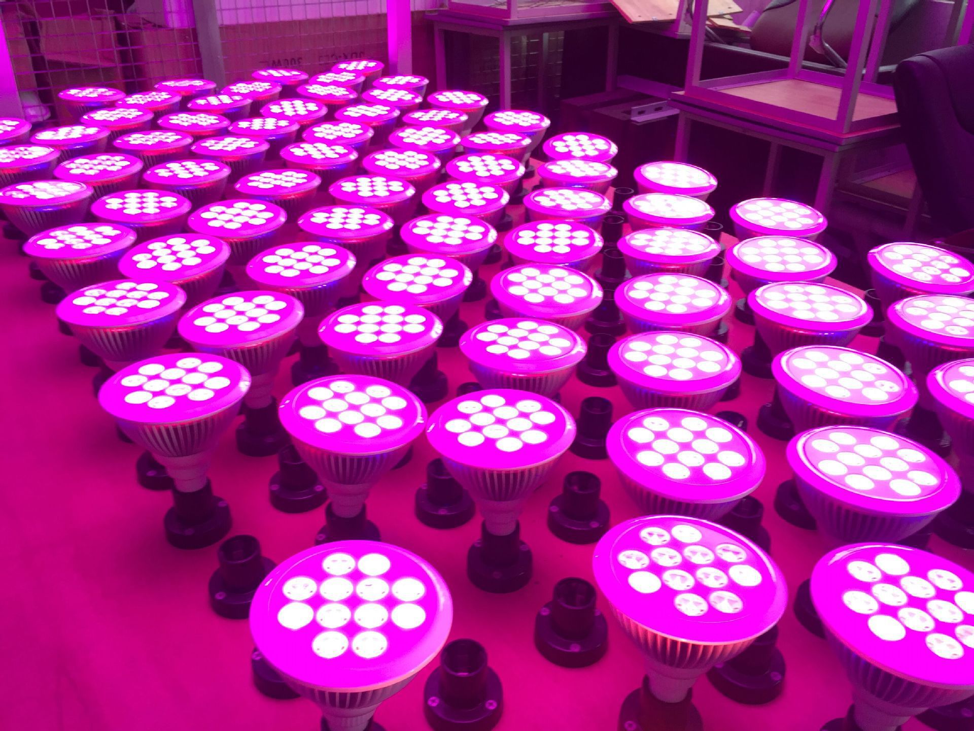 红蓝光太阳能补光灯 太阳能温室补光灯 led植物蔬菜灯 led植物灯-阿里巴巴
