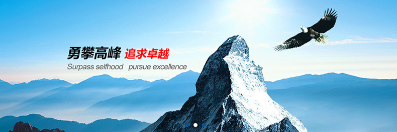 斜齿行星减速机AL090-10 松下伺服减速机 高精密 伺服减速机