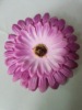 African chrysanthemum hair circles sweet chrysanthemum head flower hair jewelry hair clip clip dual -use sun flower beach