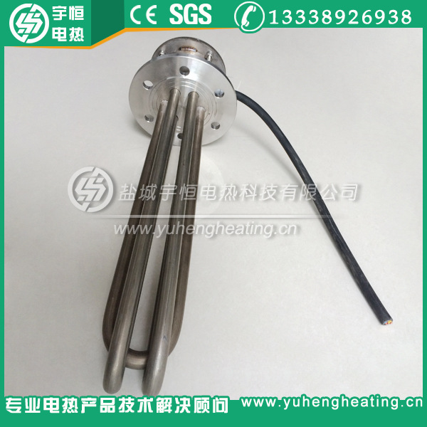 带高温引线防爆法兰加热管