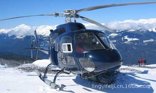 ֱ�������� �к�˫��С����AS355N