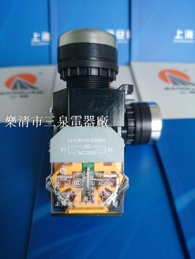 供应 LAY73B-11D 带灯按钮开关 直径22大 自复带灯按钮 厂家直销