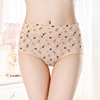 Breathable cotton underwear, cloth, wholesale