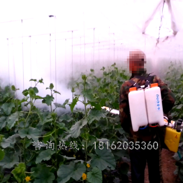 弥雾机喷雾器 农用打药弥雾机 手提式脉冲式烟雾机