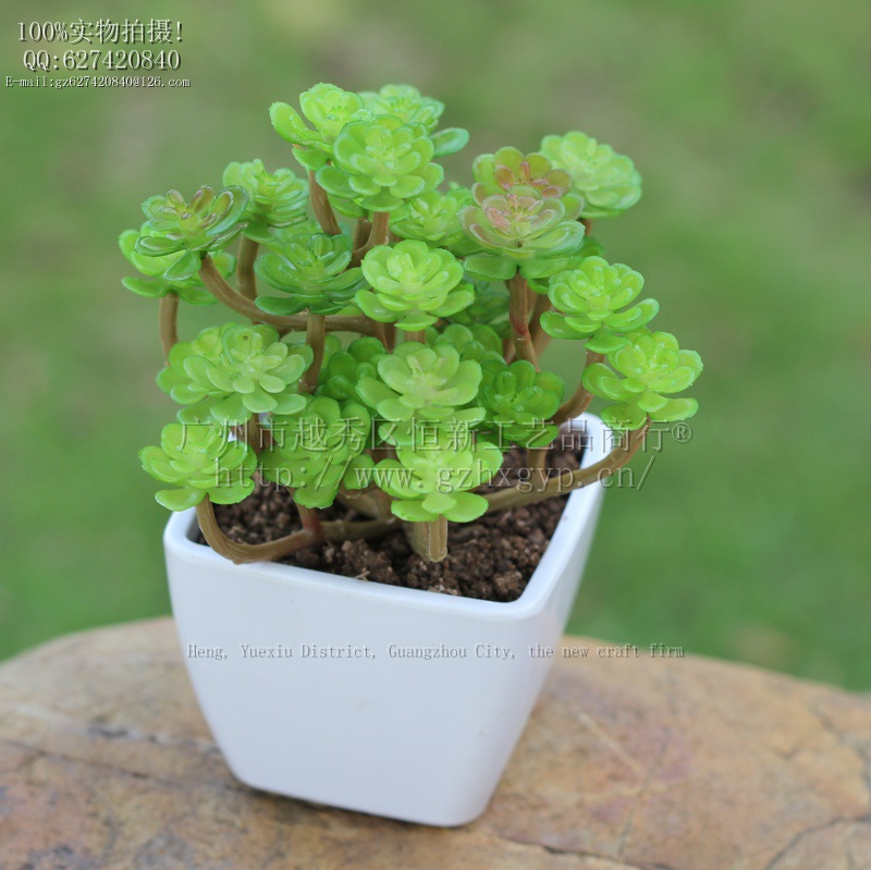 cba7da5a67d5cb70eb137fbe730675