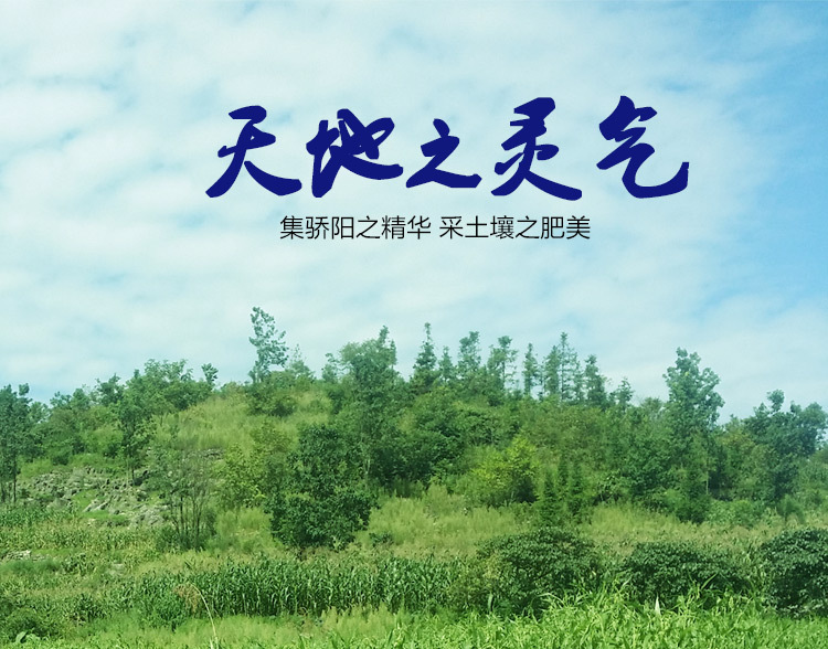 333黄米详情页(新)_09