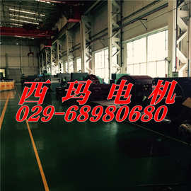 YL4004-8 250KW与YL5005-10 630KW/高压电机图片